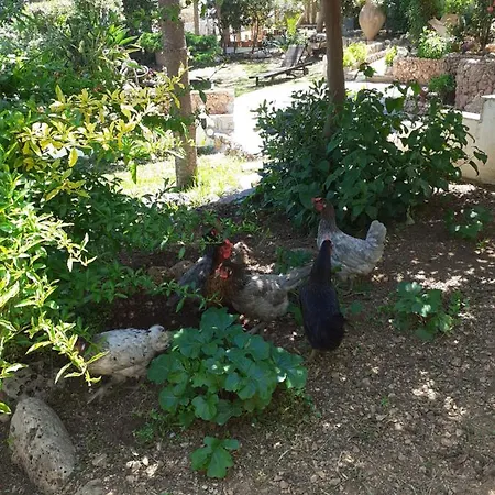 La Maravilla Privatunterkunft Peñíscola